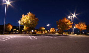 An empty parking lot at night with streetlights illuminating trees with autumn foliage.